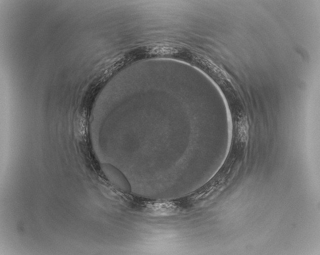 X0000115350517200912011054