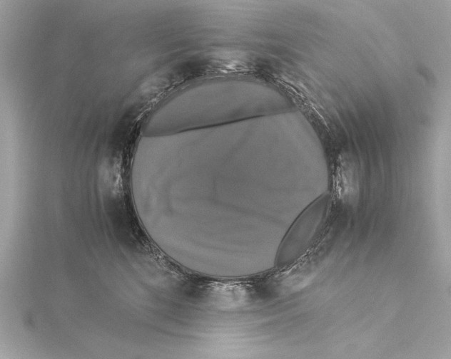 X0000115350520200912011054