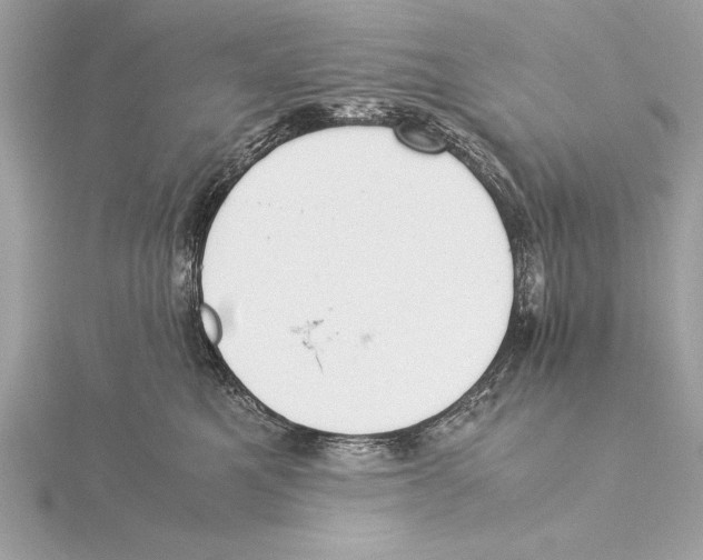 X0000115350521200912011054