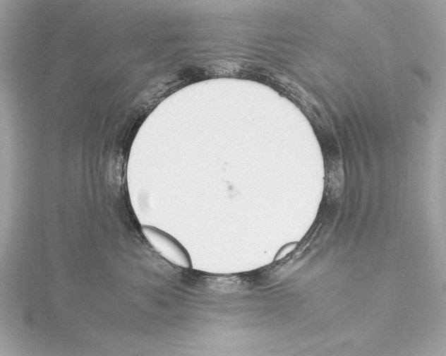 X0000115350525200912011054