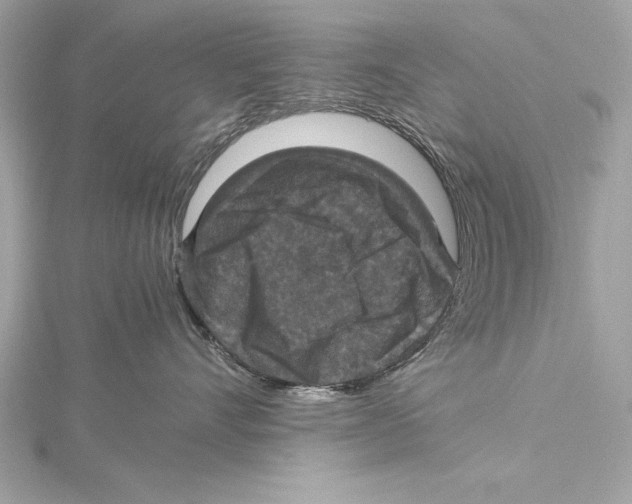 X0000115350528200912011054