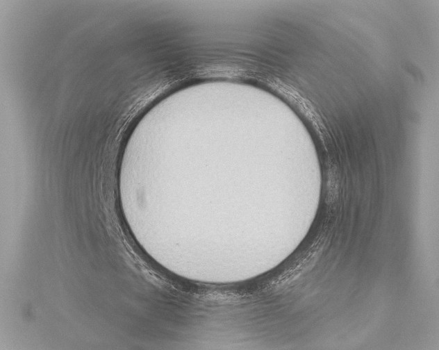 X0000115350529200912011054