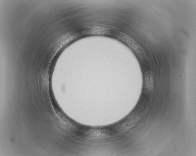 X0000115350534200912011054