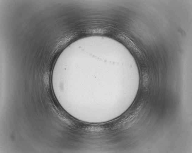 X0000115350537200912011054