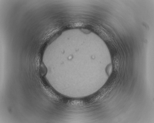 X0000115350546200912011054