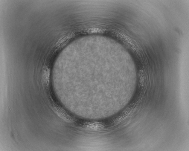 X0000115350550200912011054