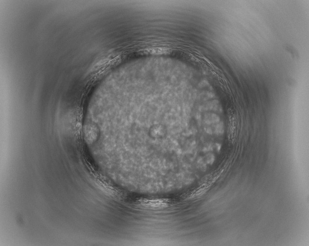 X0000115350553200912011054