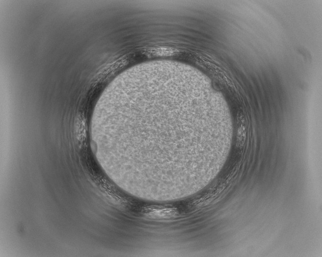 X0000115350555200912011054