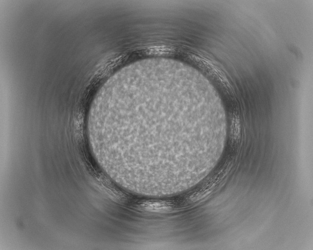 X0000115350557200912011054