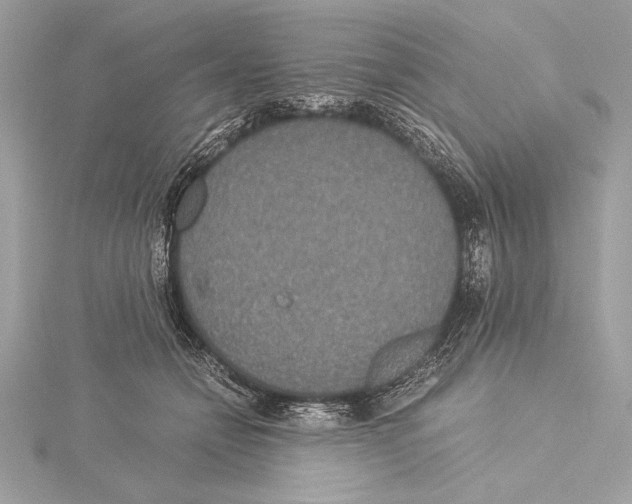 X0000115350558200912011054