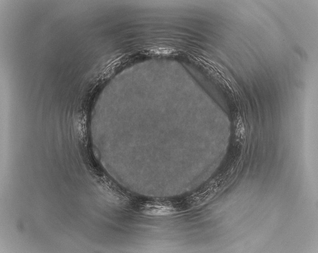 X0000115350559200912011054