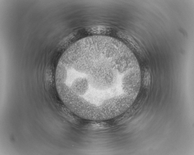 X0000115350569200912011054