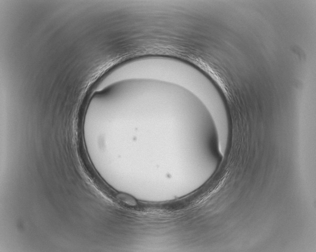 X0000115350581200912011054