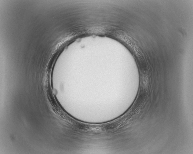 X0000115350583200912011054