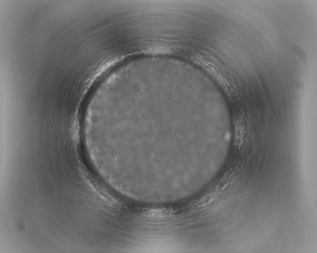 X0000115350584200912011054