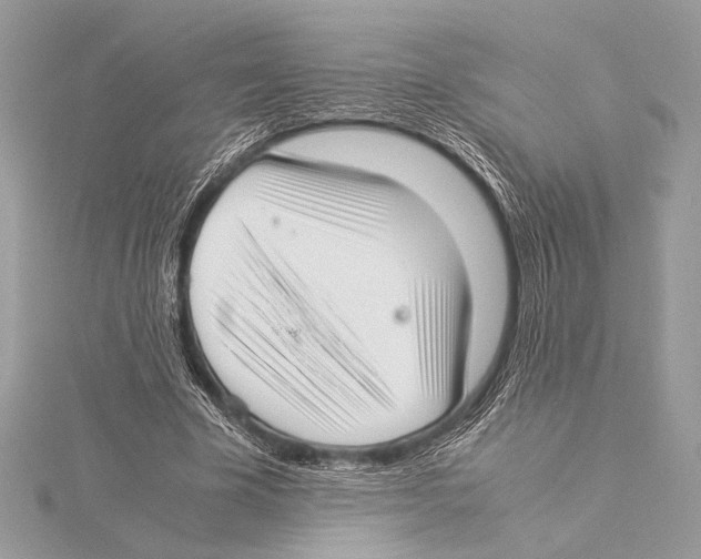 X0000115350585200912011054