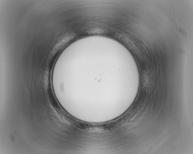 X0000115350586200912011053