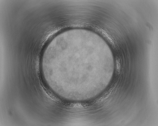 X0000115350588200912011053