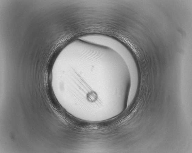 X0000115350589200912011053