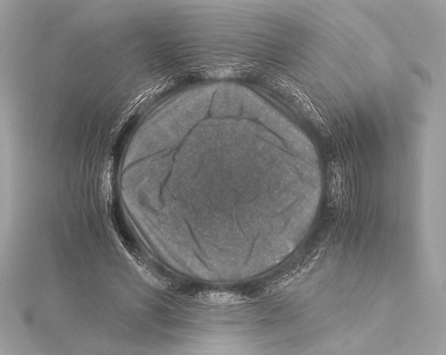 X0000115350590200912011053