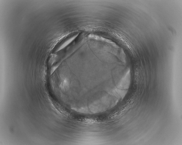 X0000115350592200912011053