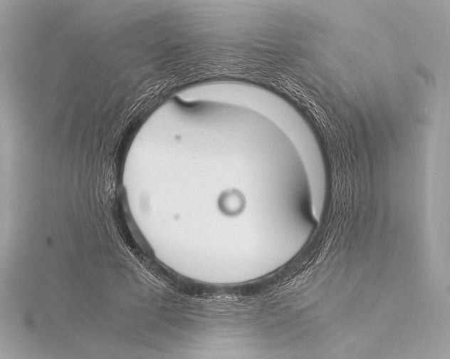 X0000115350593200912011053