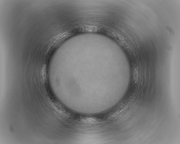 X0000115350594200912011053