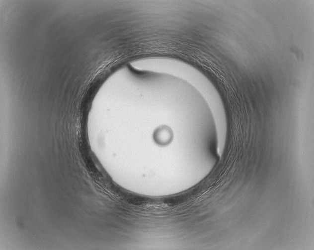 X0000115350595200912011053