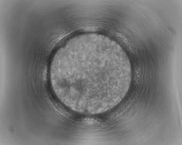 X0000115350596200912011053