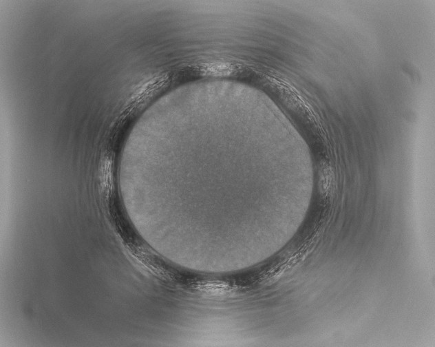 X0000115350598200912011053