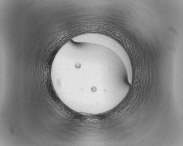 X0000115350601200912011053