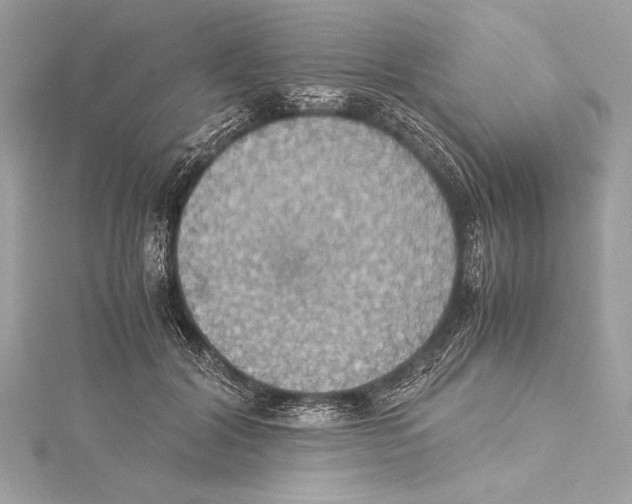 X0000115350604200912011053