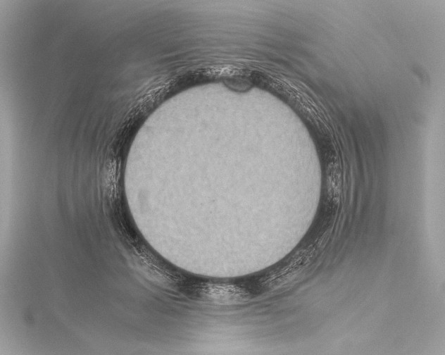 X0000115350605200912011053