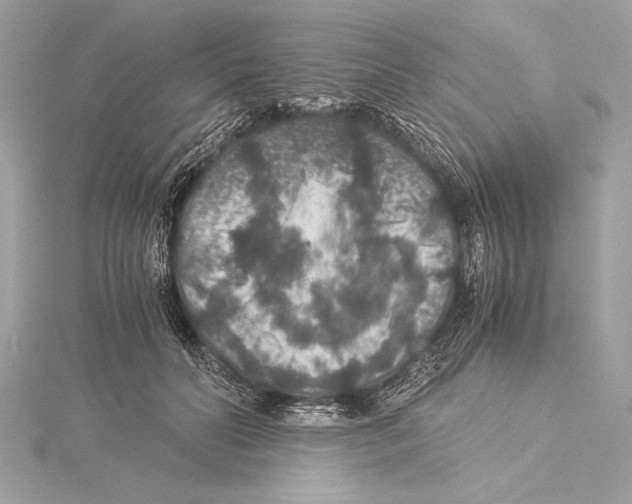 X0000115350606200912011053