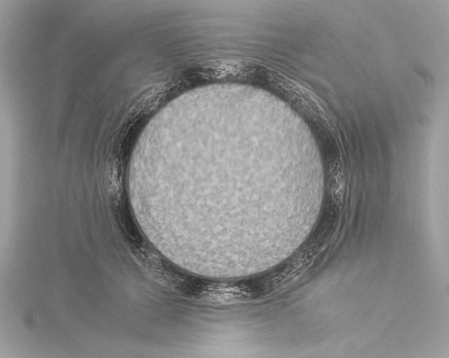 X0000115350607200912011053