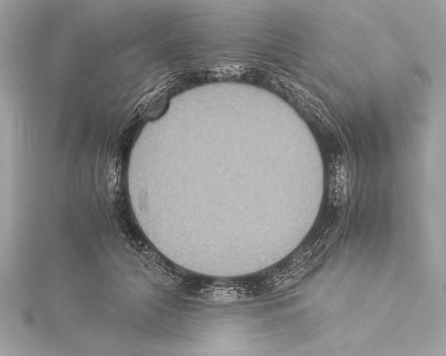 X0000115350608200912011053