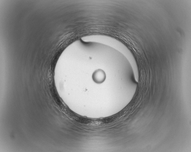 X0000115350609200912011053