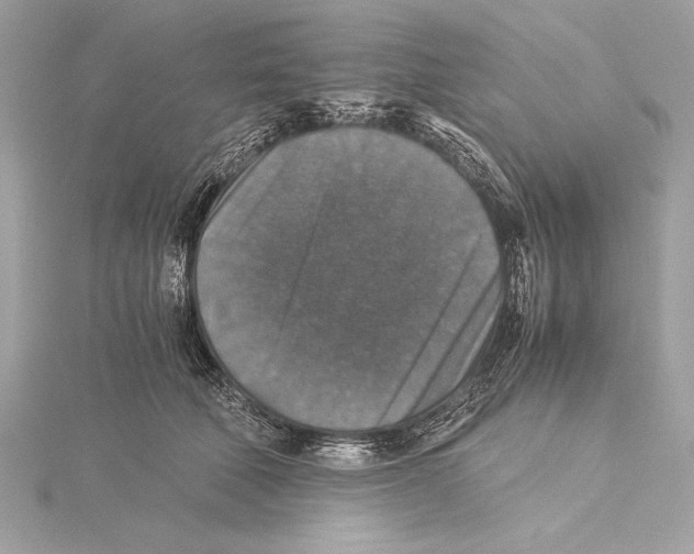 X0000115350610200912011053