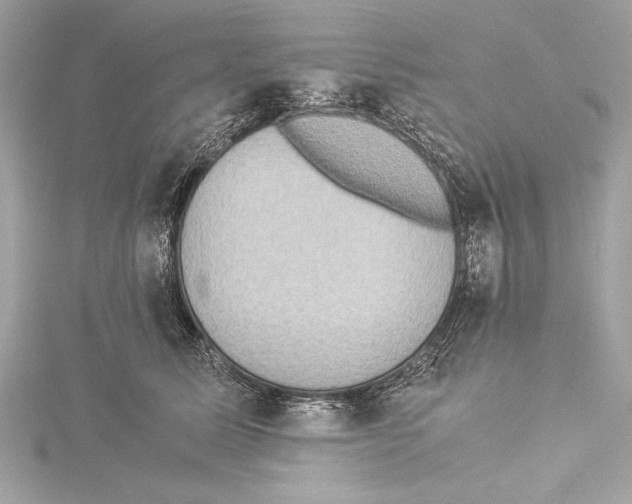 X0000115350611200912011053