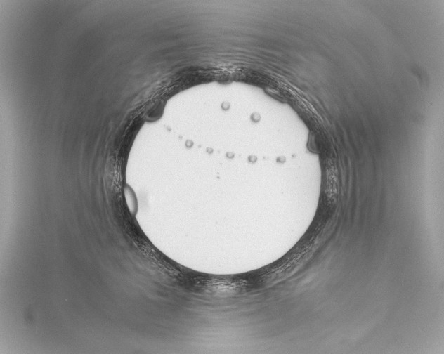 X0000115350613200912011053