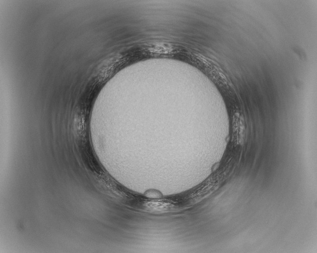 X0000115350614200912011053