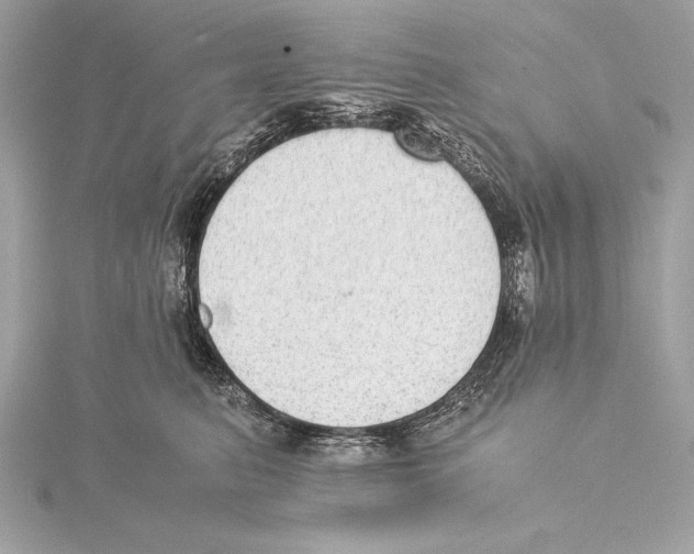 X0000115350615200912011053