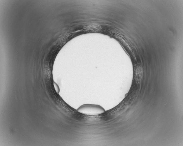 X0000115350617200912011053