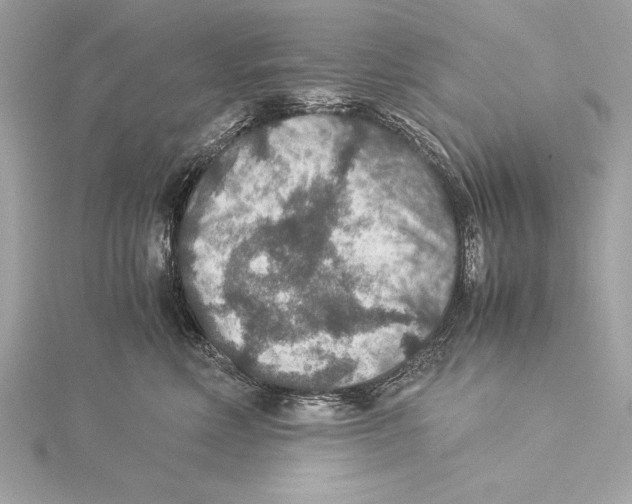 X0000115350618200912011053