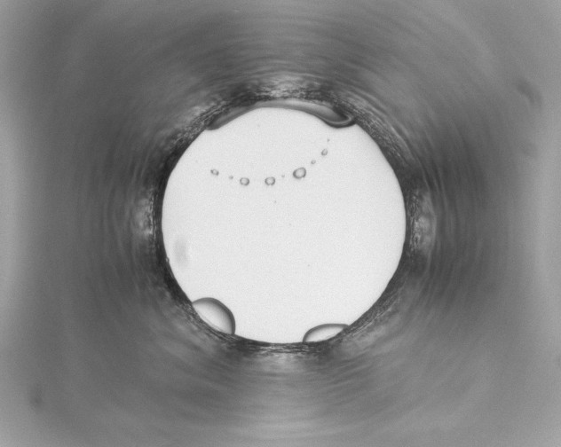 X0000115350620200912011053