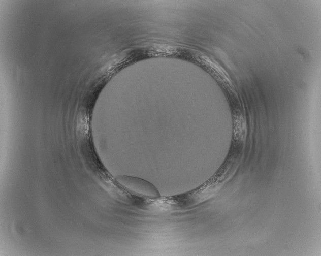 X0000115350621200912011053