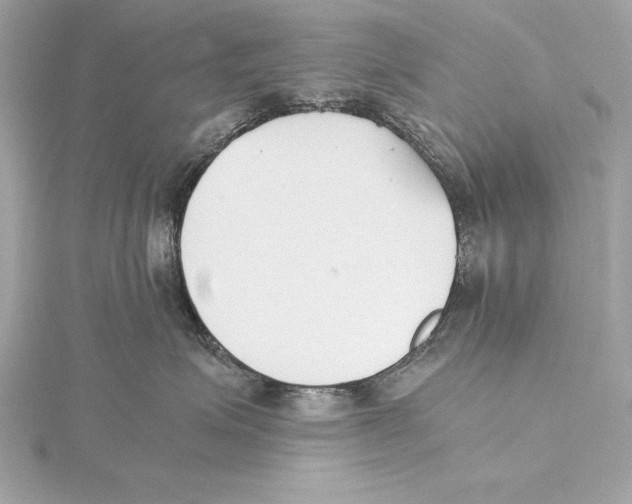 X0000115350623200912011053