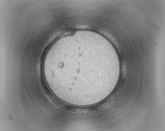 X0000115350626200912011052