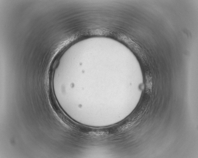 X0000115350630200912011052