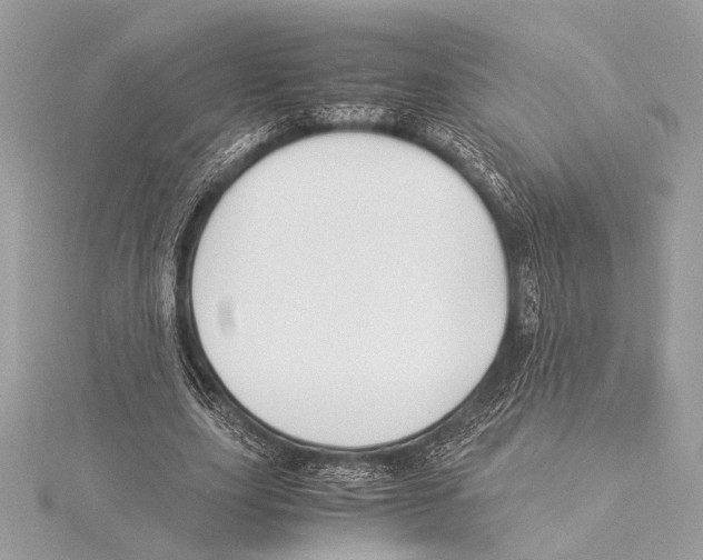 X0000115350631200912011052